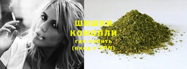 стаф Богородицк