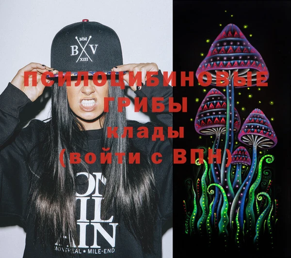 метамфетамин Богданович