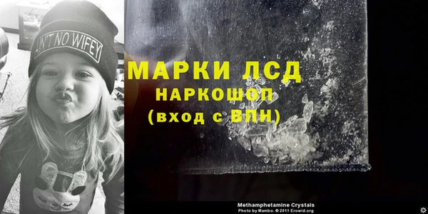 стаф Богородицк