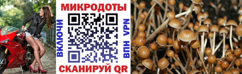 купить   Бобров  Псилоцибиновые грибы ЛСД 